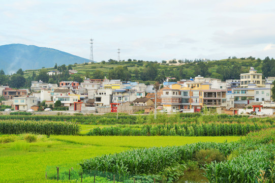 会泽美丽乡村