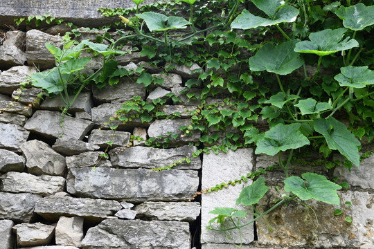 古老的小山村