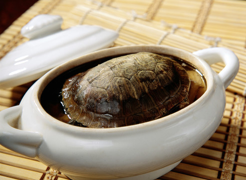 乌龟炖汤