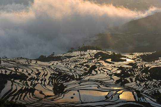 元阳梯田