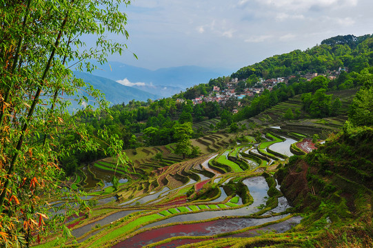 元阳梯田