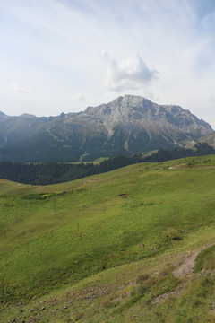 高原牧场