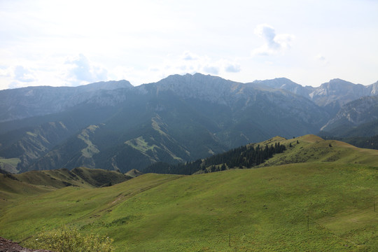 高山牧场