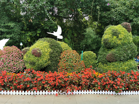 灌木带植物花卉组合的大熊猫造型