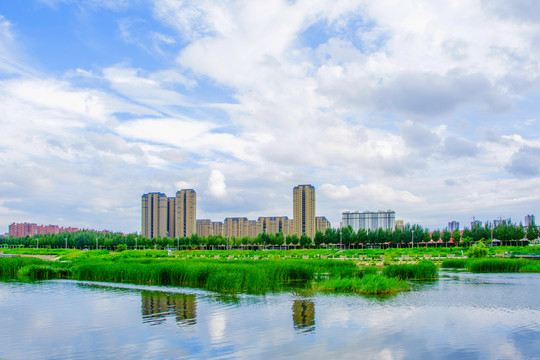 万水河对岸多高层建筑群与水草