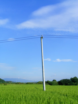 高压电线杆子