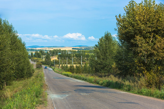 森林田野道路