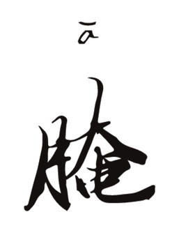 乔子康书法字体