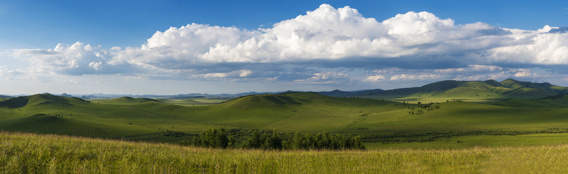 乌兰布统草原的夏季