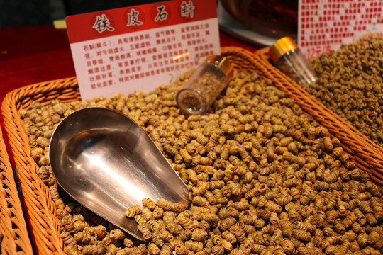 铁皮石斛
