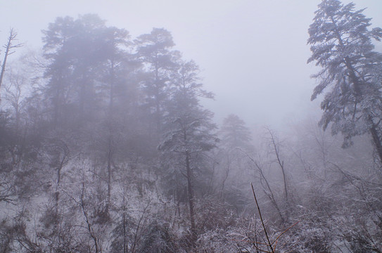 西岭雪山