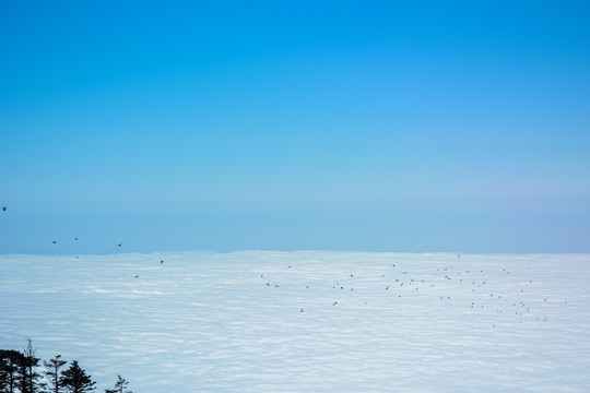 西岭雪山云海
