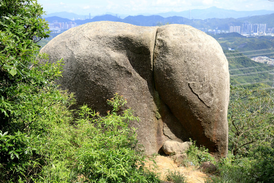 大象岩石
