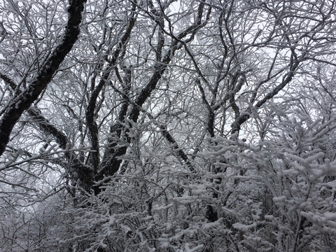 西岭雪山美景