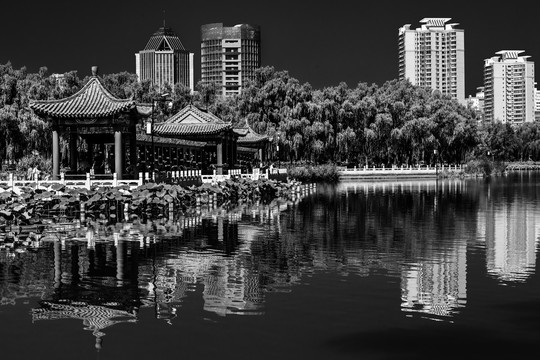 北京莲花池城市湿地风光