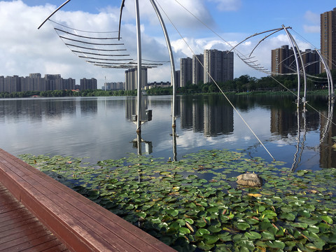 龙池湖湖面