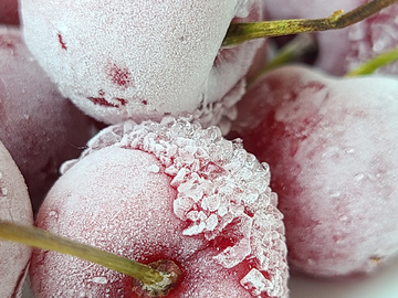 冰冻樱桃