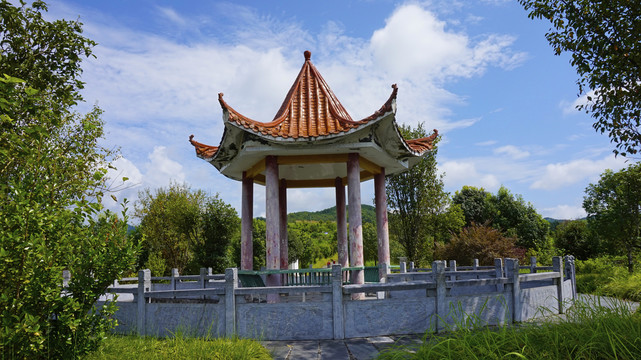 龙湖湿地公园8