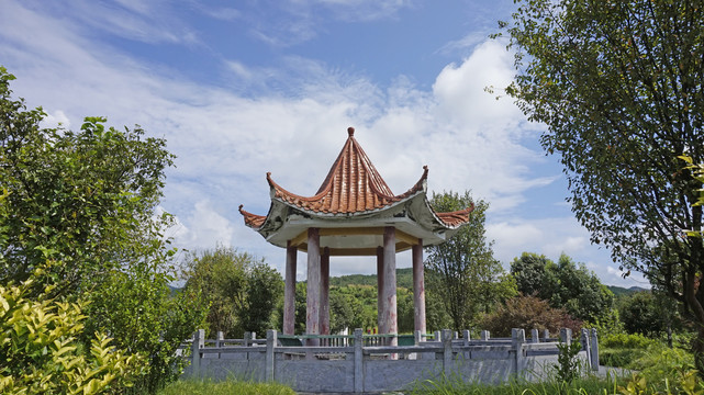 龙湖湿地公园11