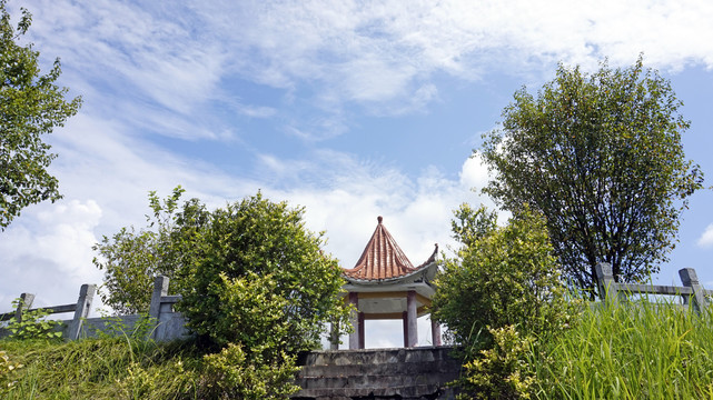 龙湖湿地公园12