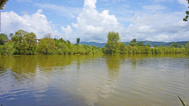 龙湖湿地公园27