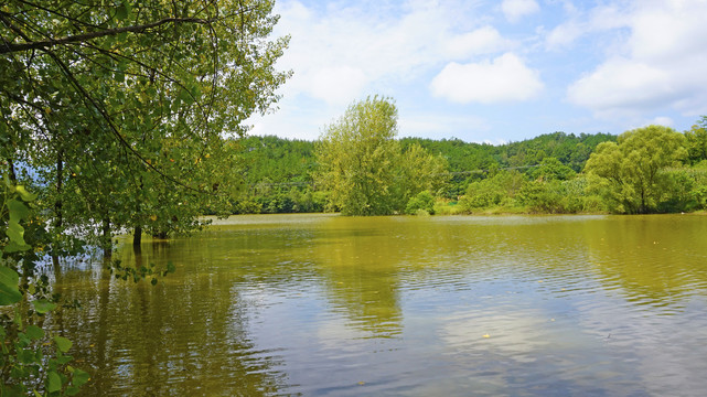 龙湖湿地公园49