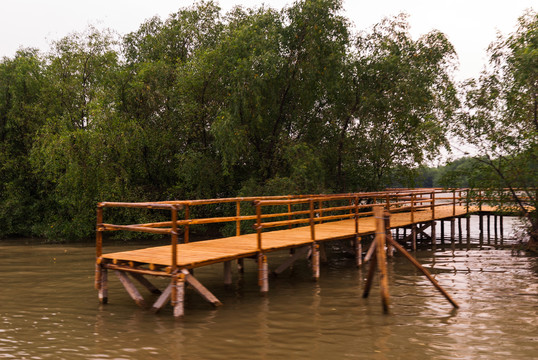 湿地公园的栈桥