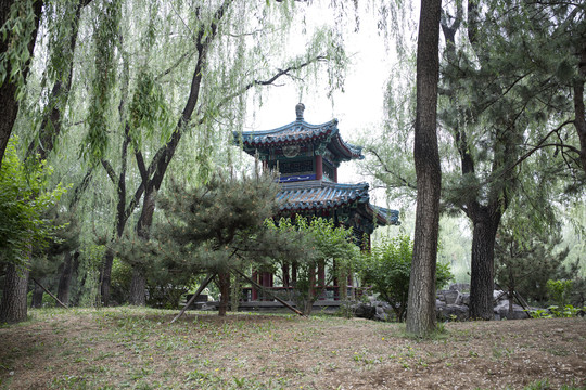 北京南宫五洲植物园