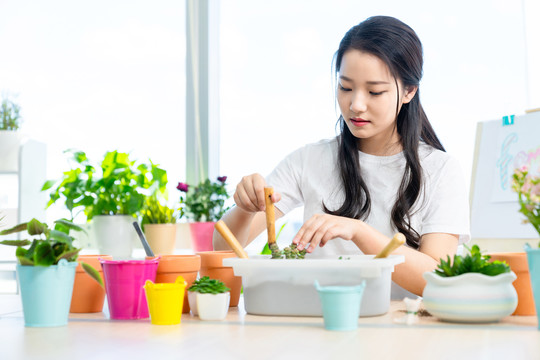 年轻女子在家种植盆栽