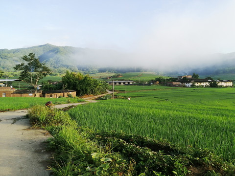 坎市镇文馆村