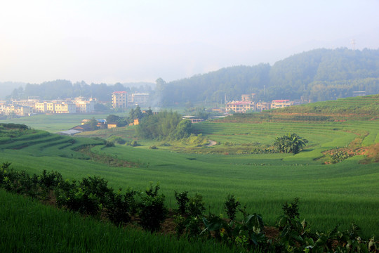 坎市镇文馆村