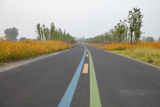 旅游大道