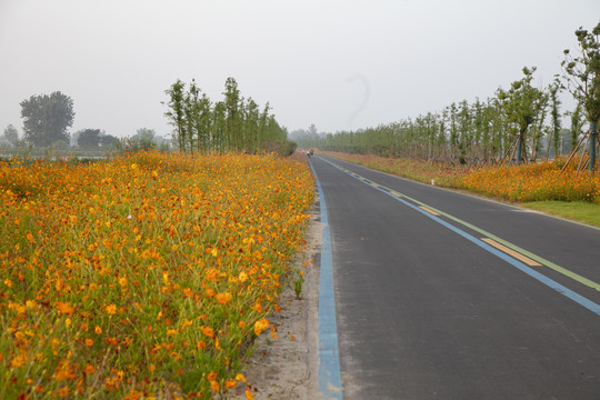 旅游大道