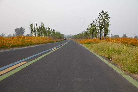 旅游大道