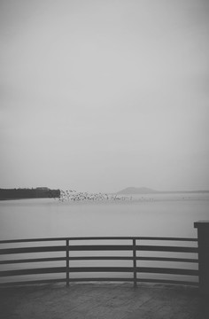 item.picName