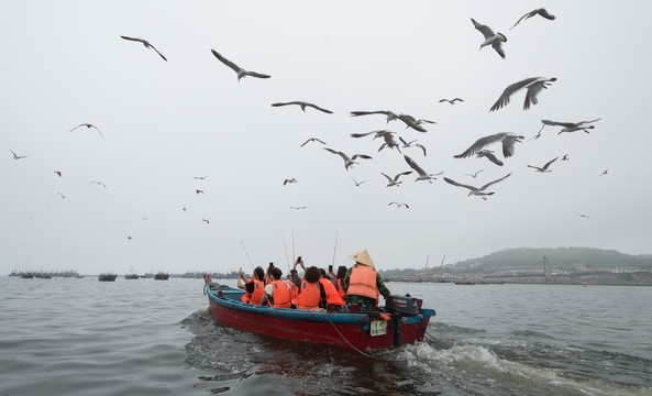 一群海鸥追逐这一艘渔船