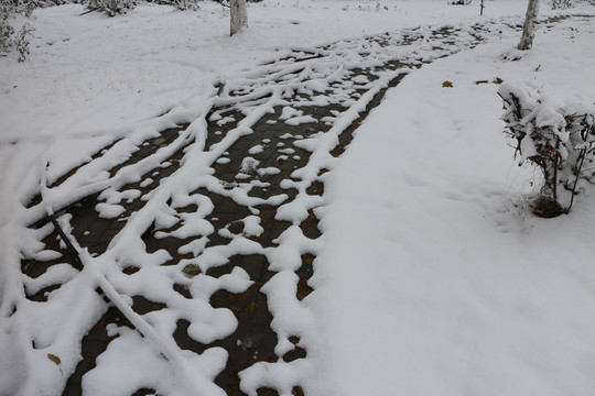 落雪的小路