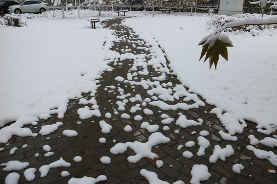 落雪的小路