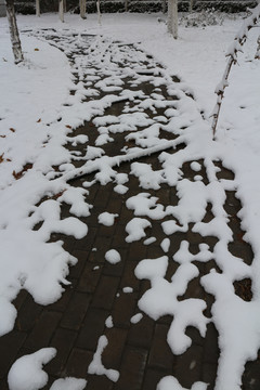 雪后弯弯的砖铺小路