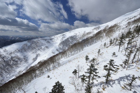 北海道的冬天