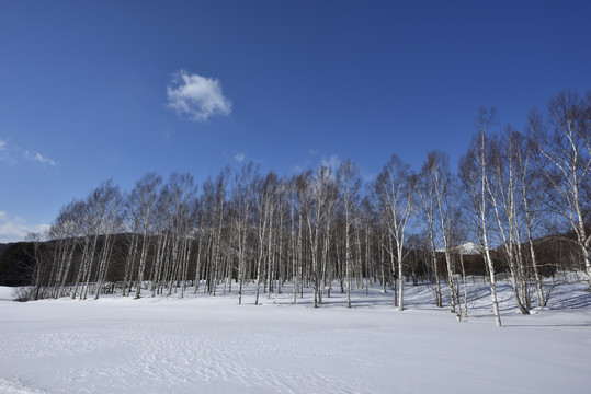 北海道的冬天