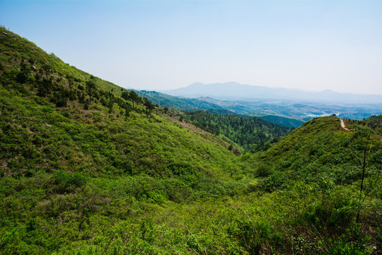 山景