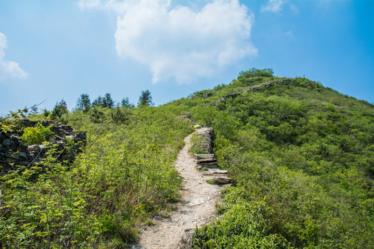 龙王尖山顶