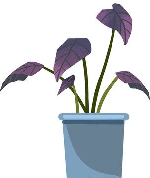 手绘植物扁平紫色叶子盆栽插画