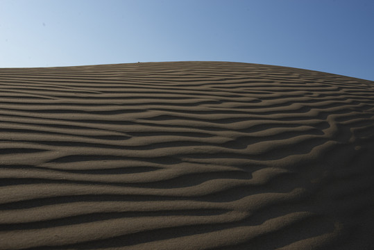 沙漠里的波纹
