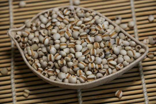 薏仁