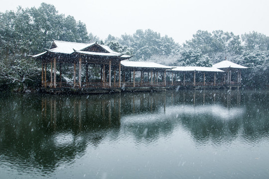 杭州西湖花港观鱼公园雪韵