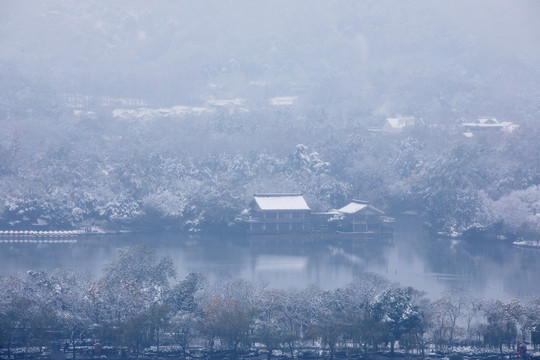 杭州西湖花港观鱼公园雪韵