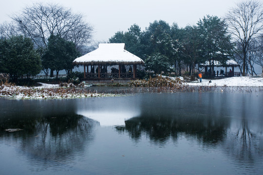 杭州茅家埠雪韵