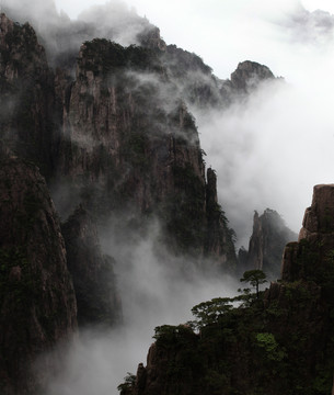 竖幅黄山